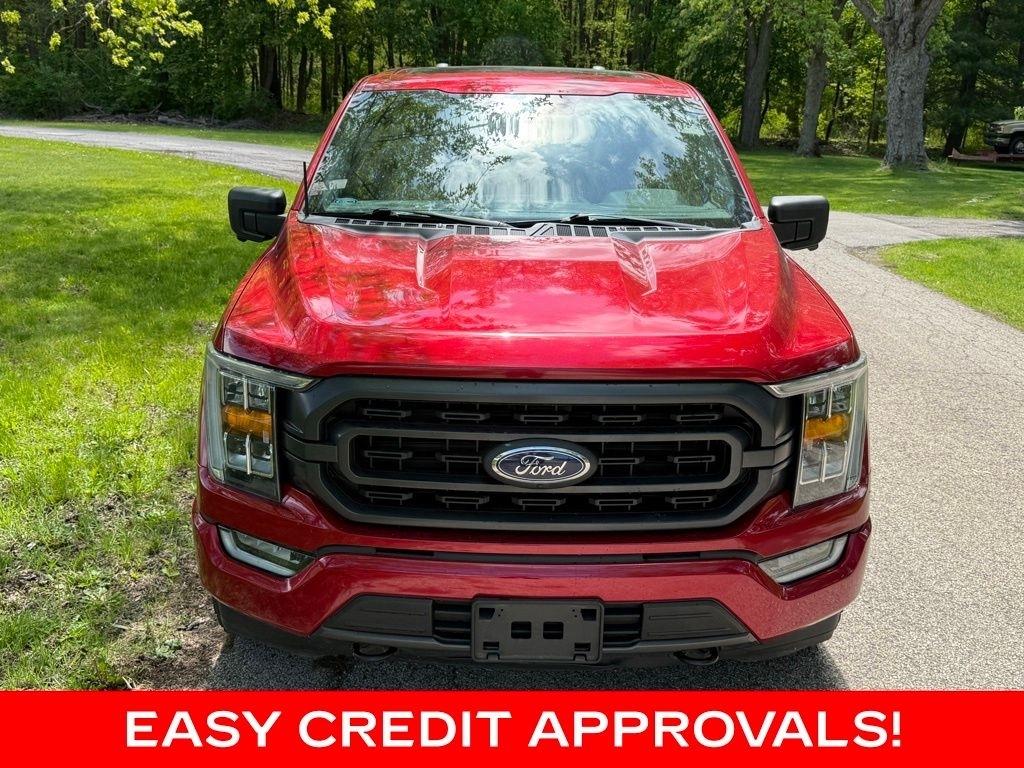 Ford F-150 King Ranch 4WD SuperCrew 5.5' Box 2021