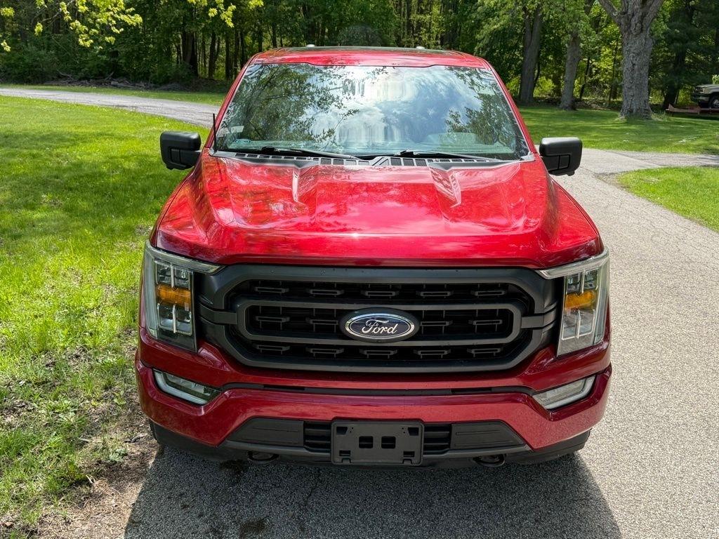 Ford F-150 King Ranch 4WD SuperCrew 5.5' Box 2021