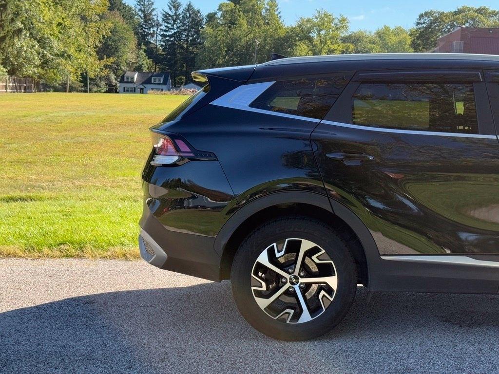 Kia Sportage photo 16