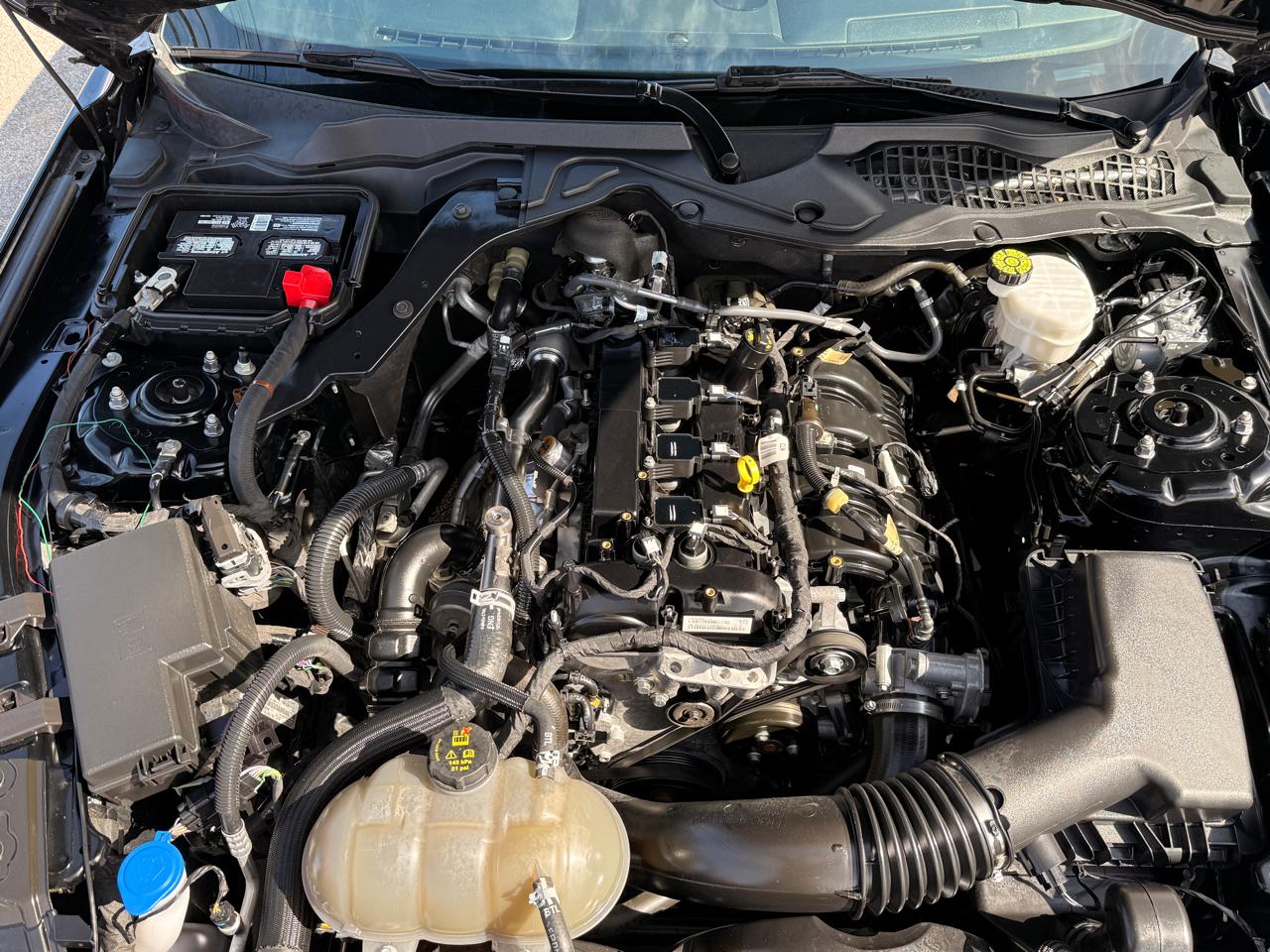 Ford Mustang EcoBoost Fastback 2022