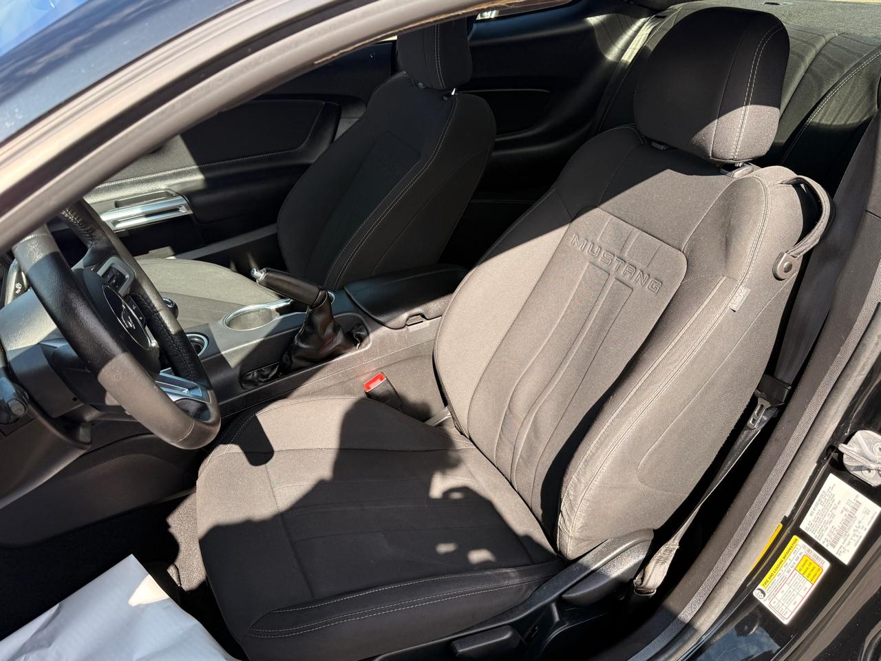 Ford Mustang EcoBoost Fastback 2022