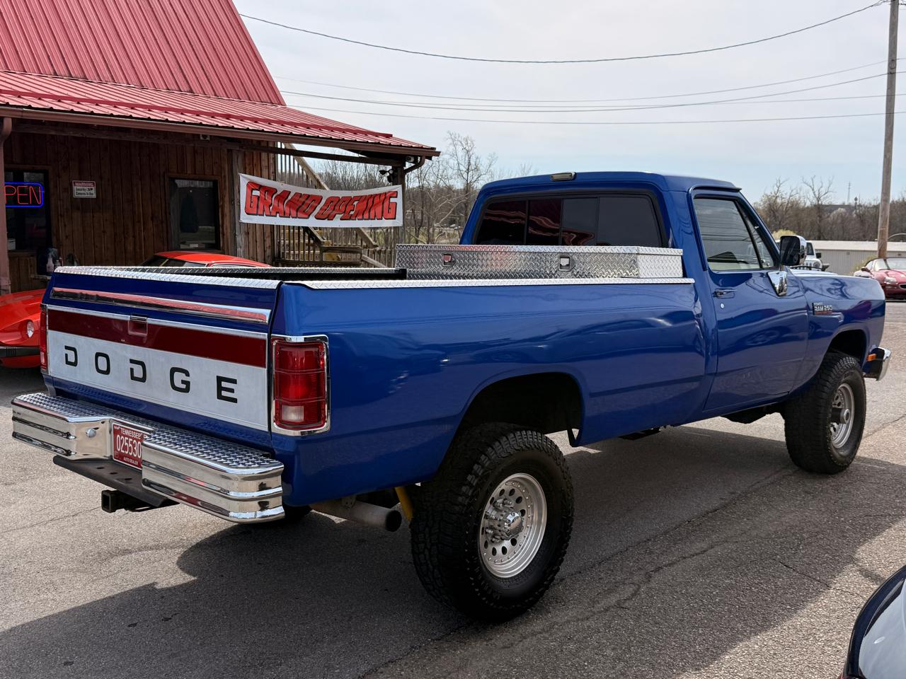Dodge D250 & W250 Sweptline 131" WB 4WD 1993