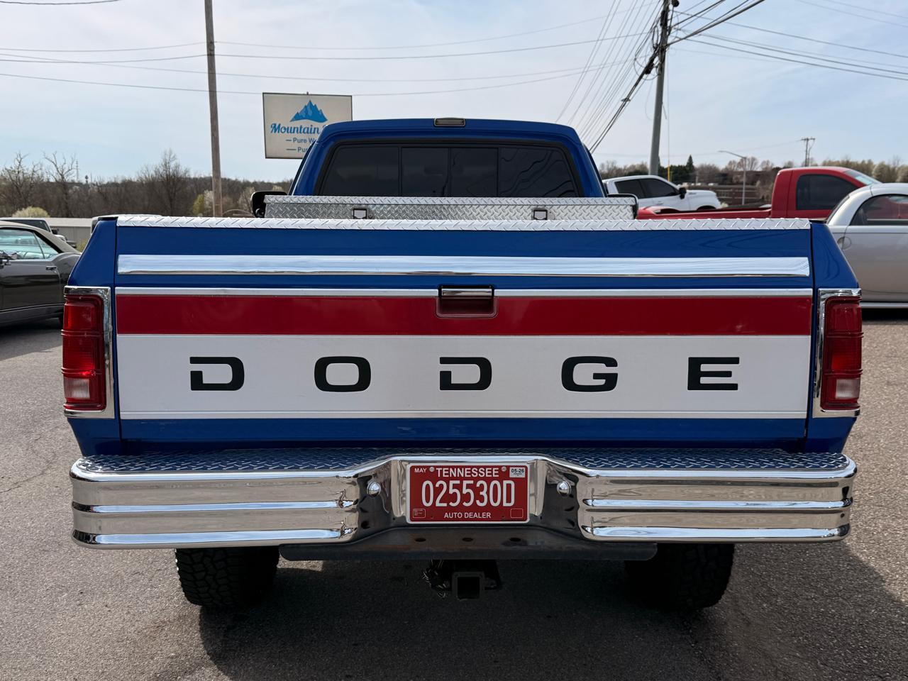 Dodge D250 & W250 Sweptline 131" WB 4WD 1993