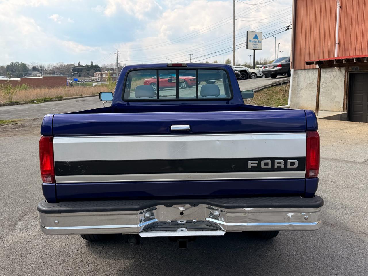 Ford F-150 Reg Cab 116.8" WB 4WD 1995