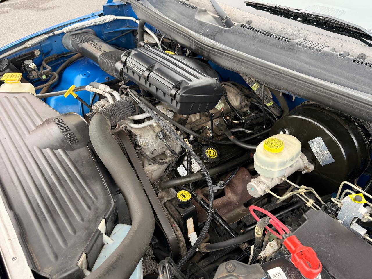 Dodge Ram 1500 2dr Reg Cab 119" WB 2001