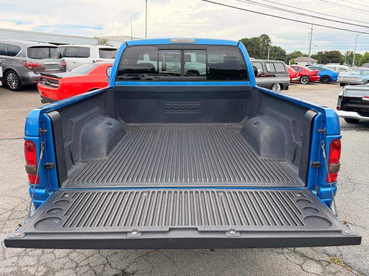 Dodge Ram 1500 2dr Reg Cab 119" WB 2001
