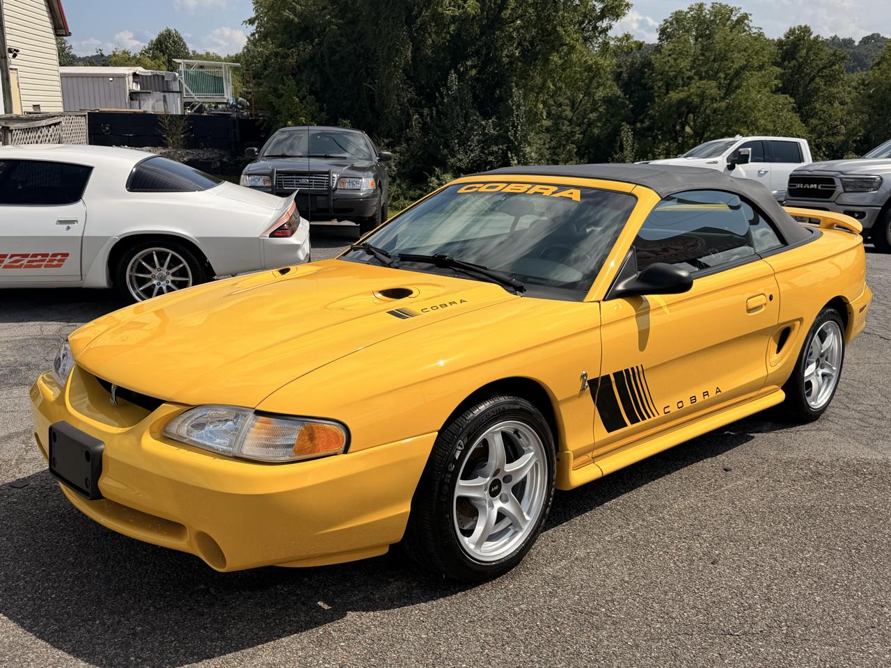 Ford Mustang 2dr Convertible SVT Cobra 1998
