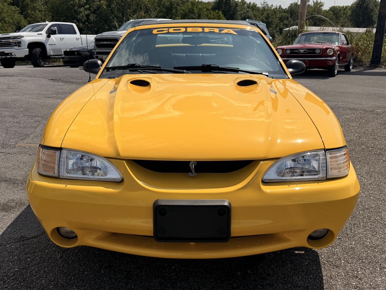 Ford Mustang 2dr Convertible SVT Cobra 1998