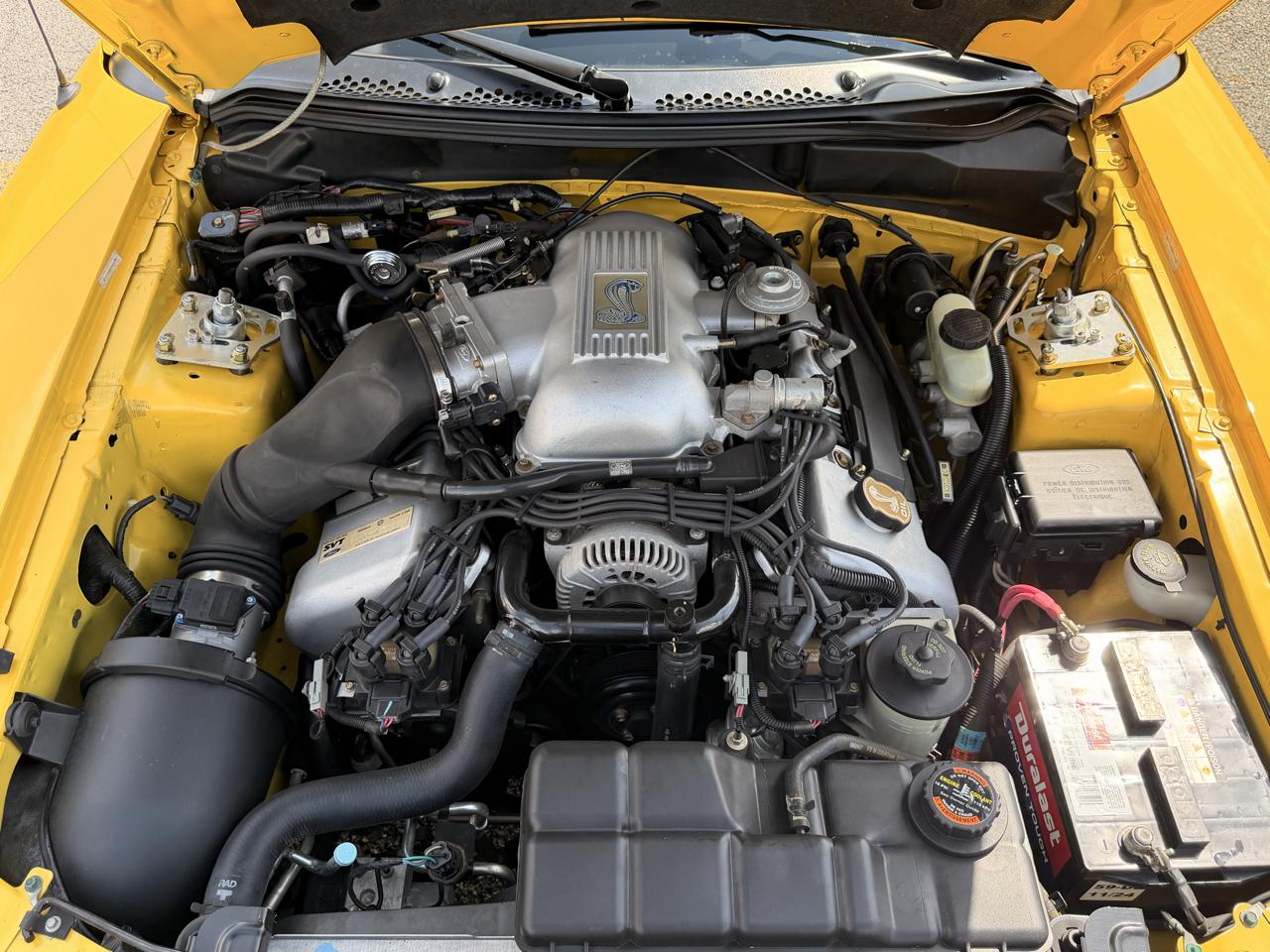 Ford Mustang 2dr Convertible SVT Cobra 1998