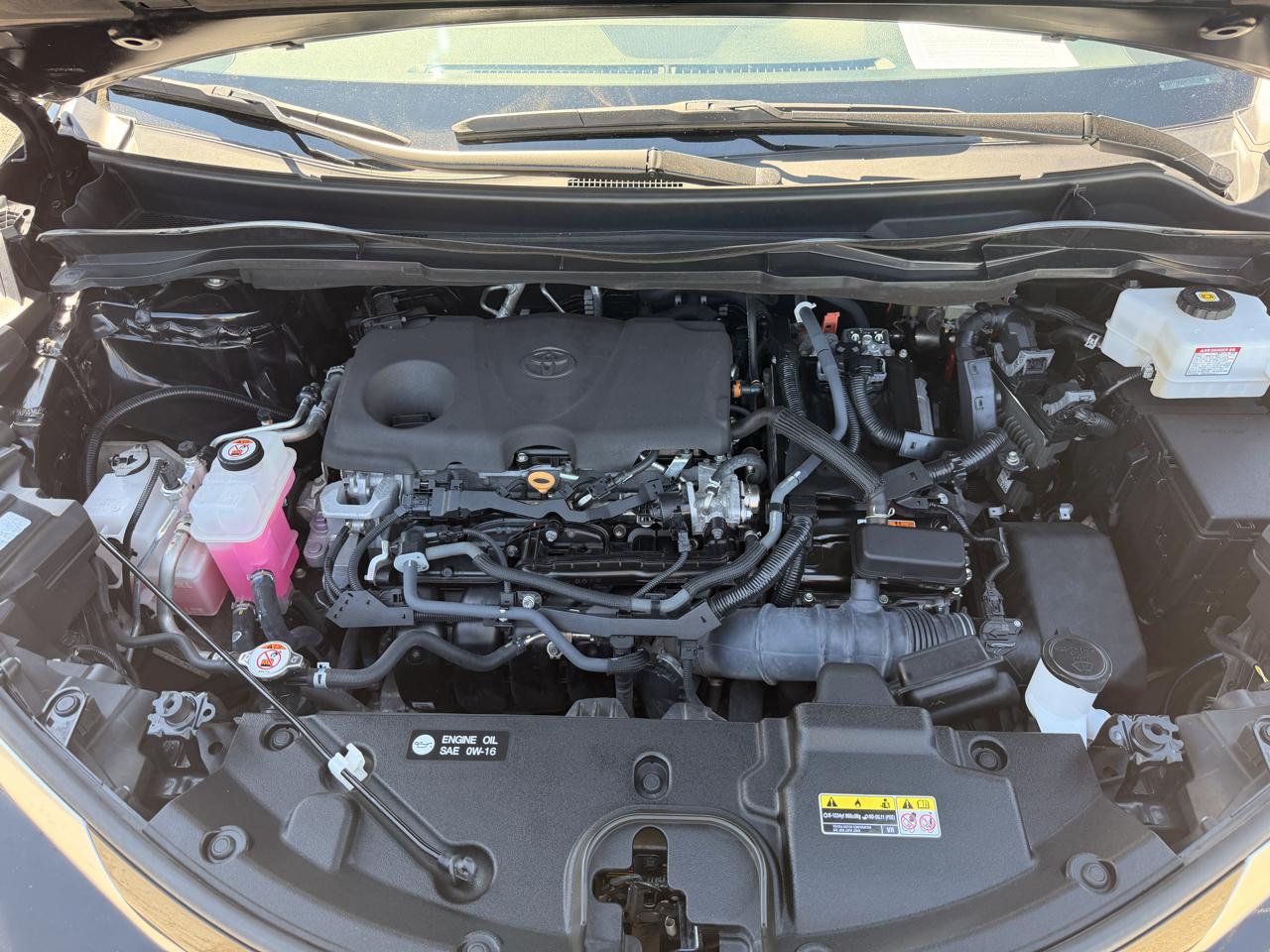 Toyota Sienna XSE FWD 7-Passenger (Natl) 2022
