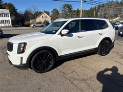 2020 Kia Telluride 