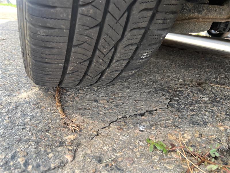 Ford Focus 4dr Sdn Titanium 2014