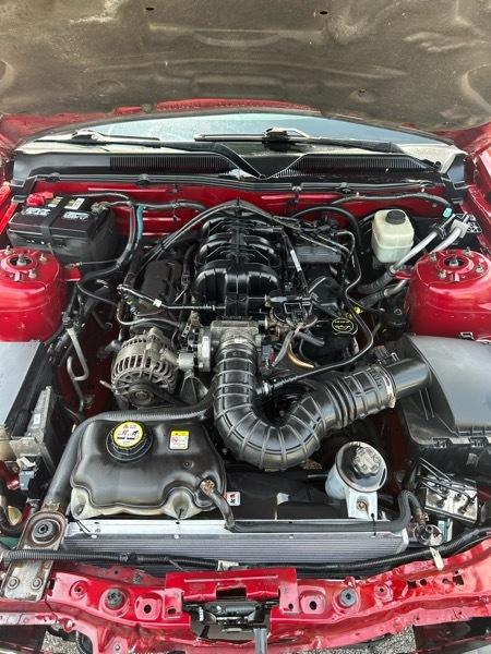 Ford Mustang V6 Deluxe Coupe 2008