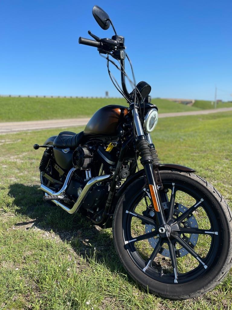 Harley-Davidson XL883N  2019