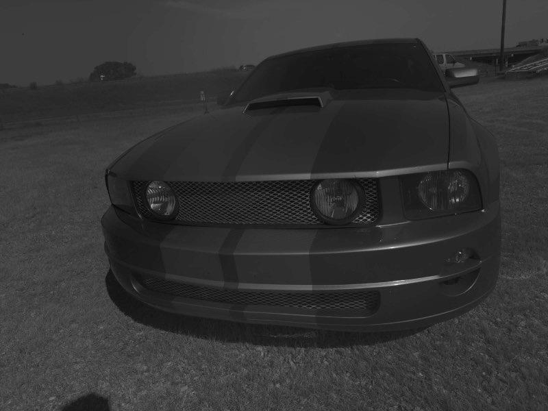 Ford Mustang V6 Standard Coupe 2006