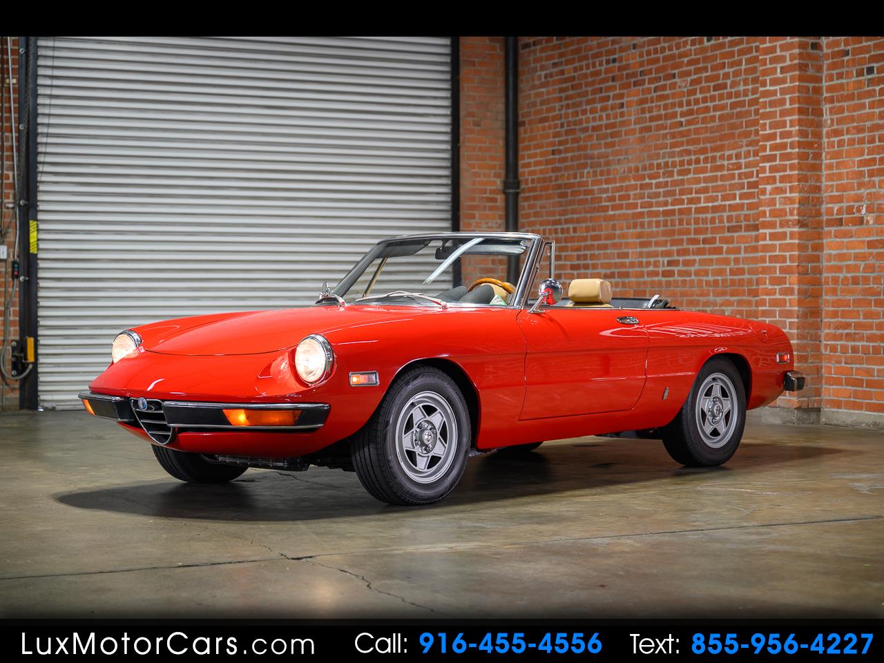 1971 Alfa Romeo Spider 