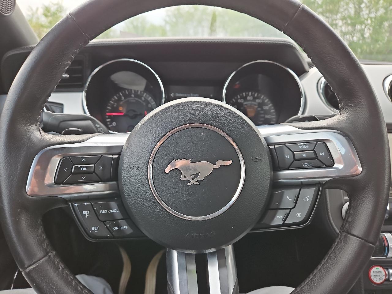 Ford Mustang EcoBoost Coupe 2015