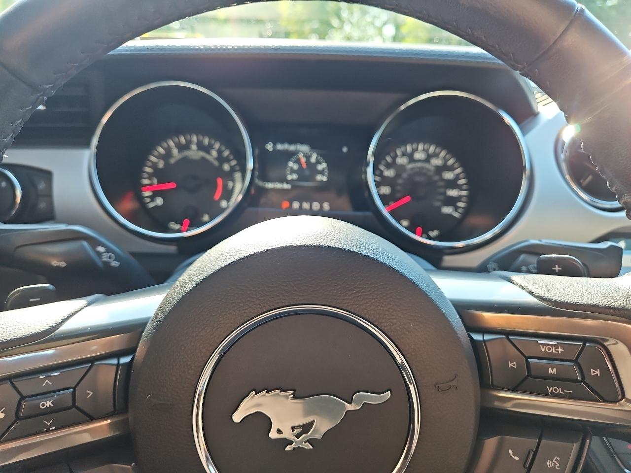Ford Mustang GT Premium Coupe 2017