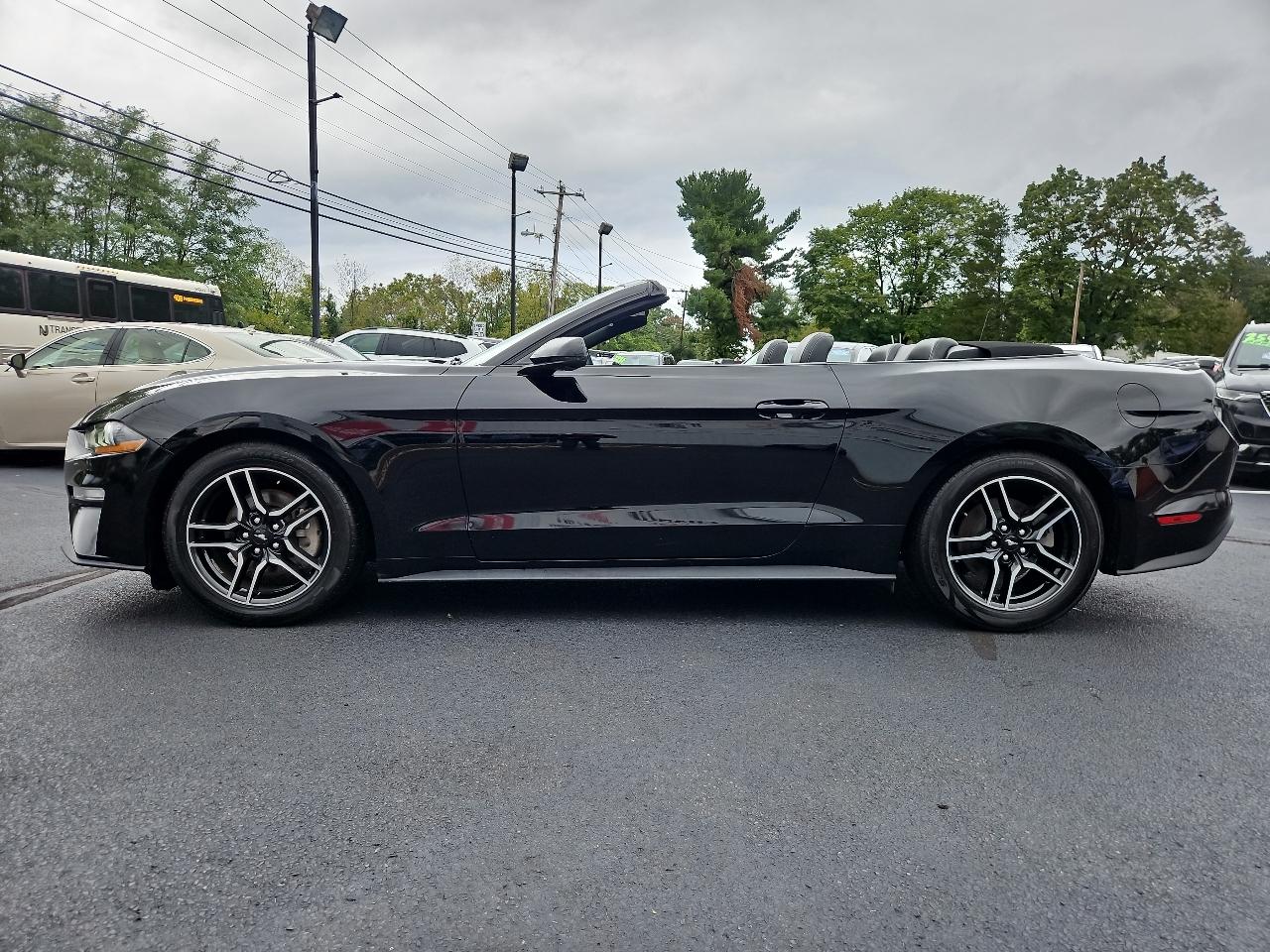 Ford Mustang EcoBoost Premium Convertible 2019
