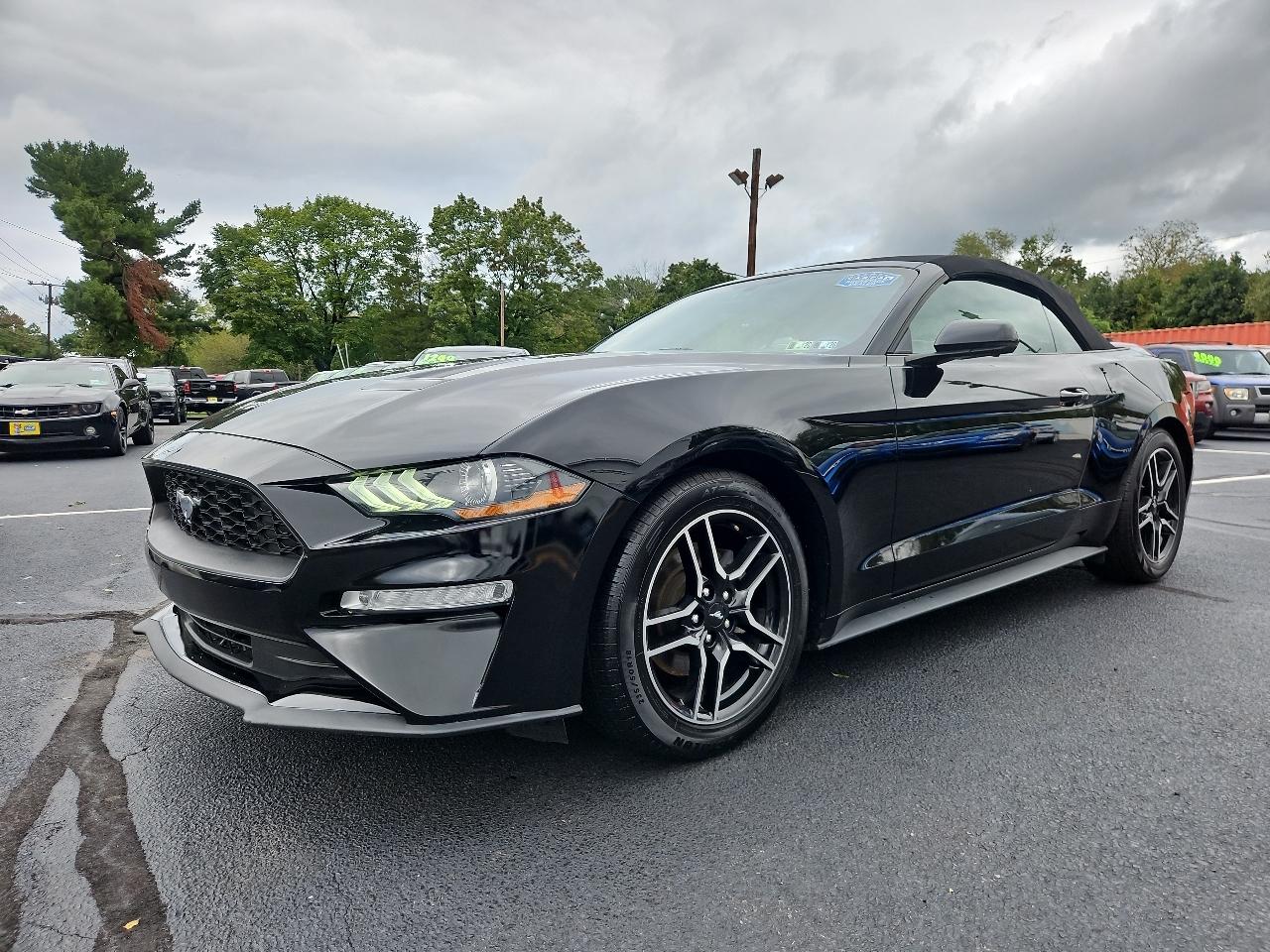 Ford Mustang EcoBoost Premium Convertible 2019