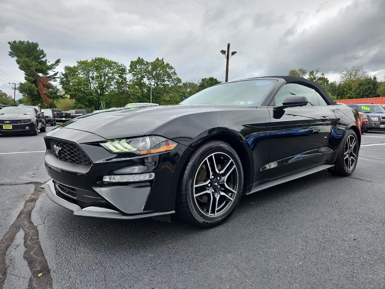 Ford Mustang EcoBoost Premium Convertible 2019