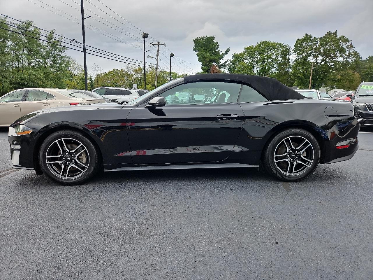Ford Mustang EcoBoost Premium Convertible 2019