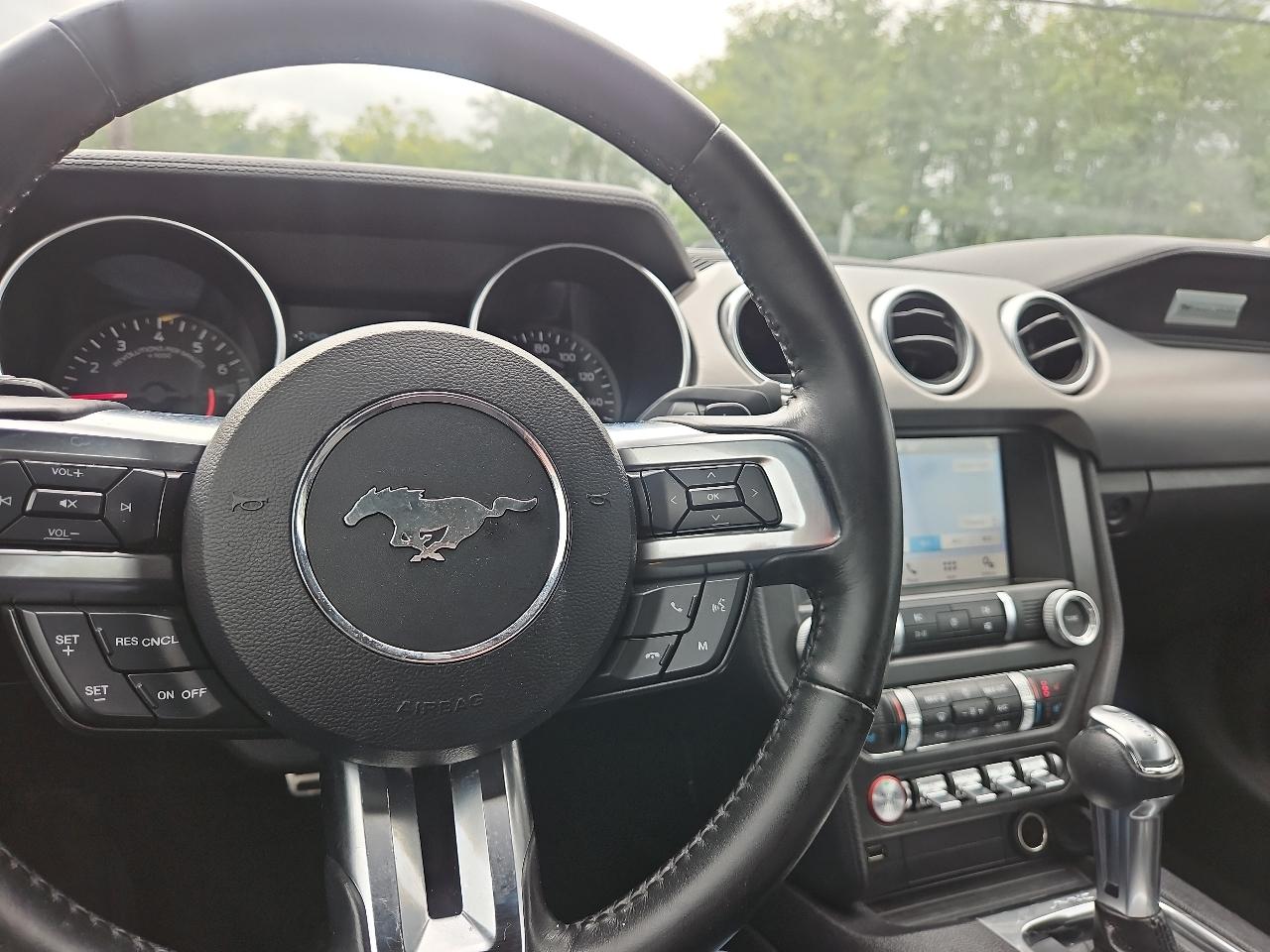 Ford Mustang EcoBoost Premium Convertible 2019
