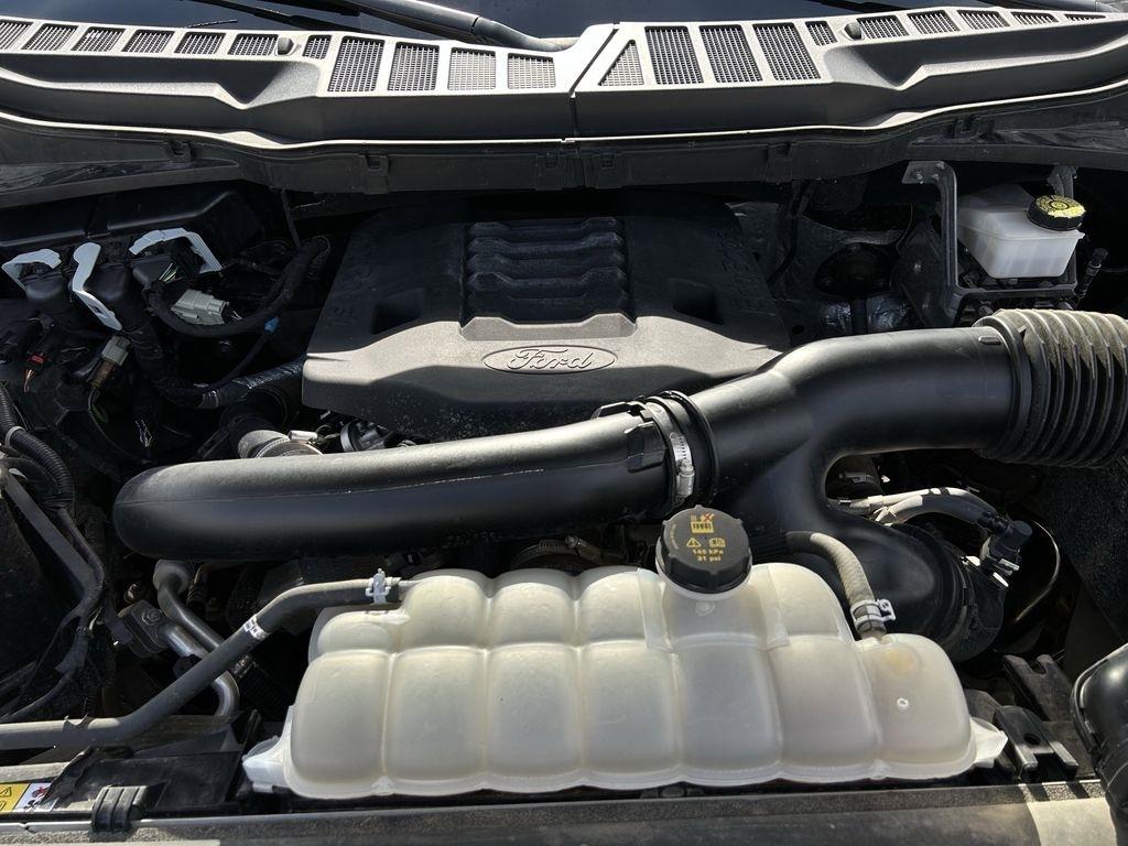 Ford F-150 XL SuperCrew 6.5-ft. Bed 4WD 2023