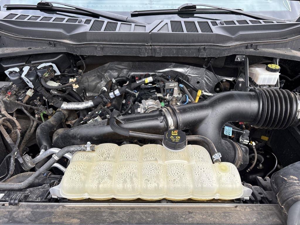 Ford F-150 STX SuperCrew 4WD 2024