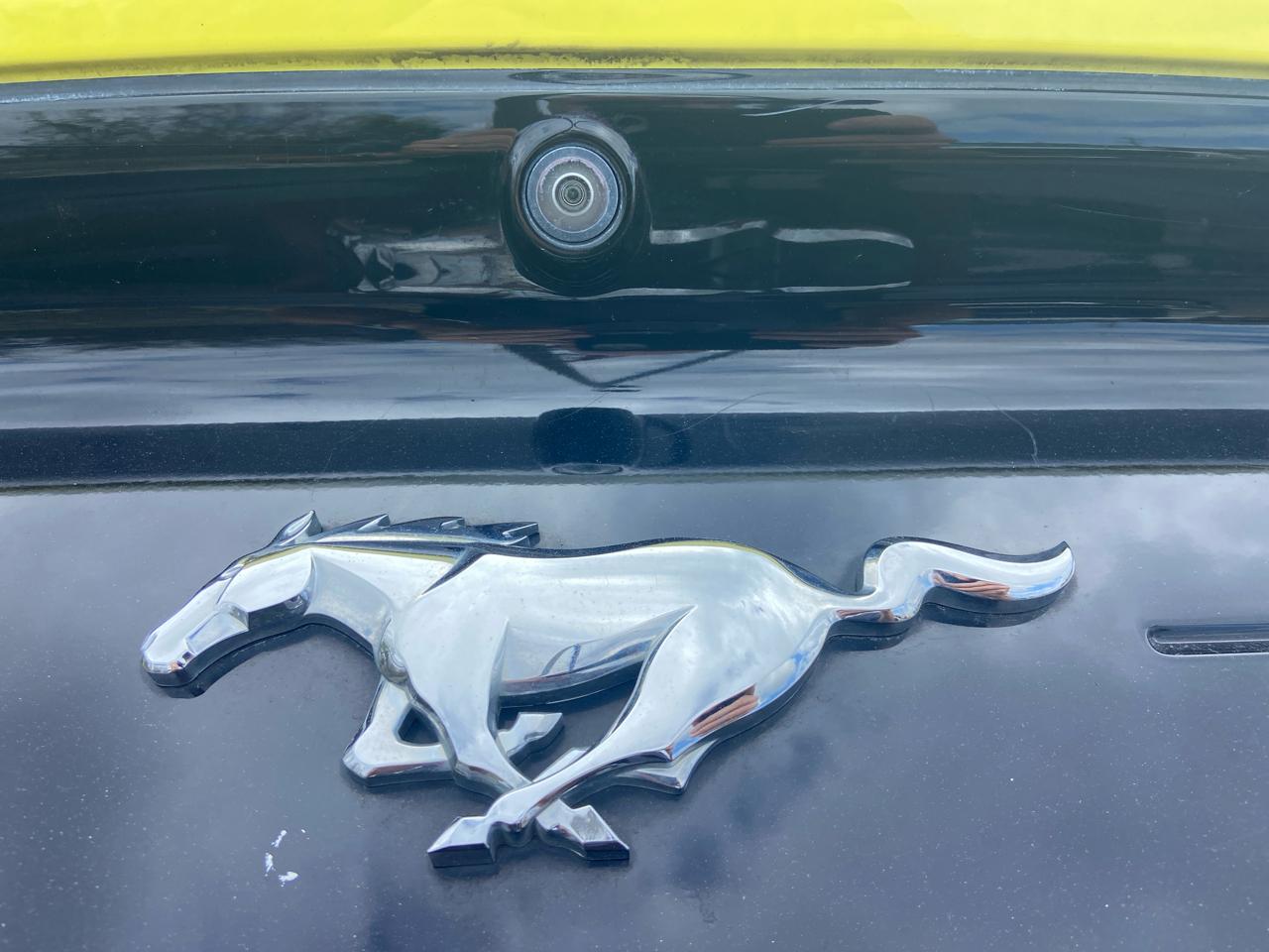 Ford Mustang EcoBoost Coupe 2021