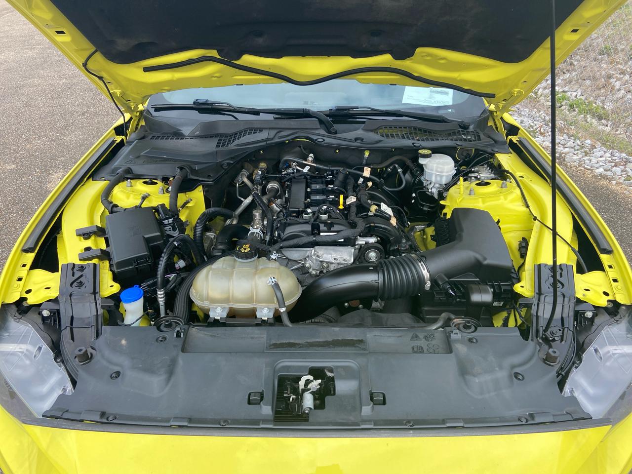 Ford Mustang EcoBoost Coupe 2021