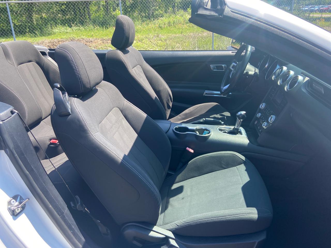 Ford Mustang EcoBoost Premium Convertible 2019