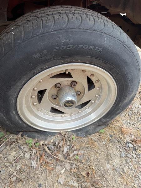 Chevrolet S10 Pickup Short Bed 2WD 1999