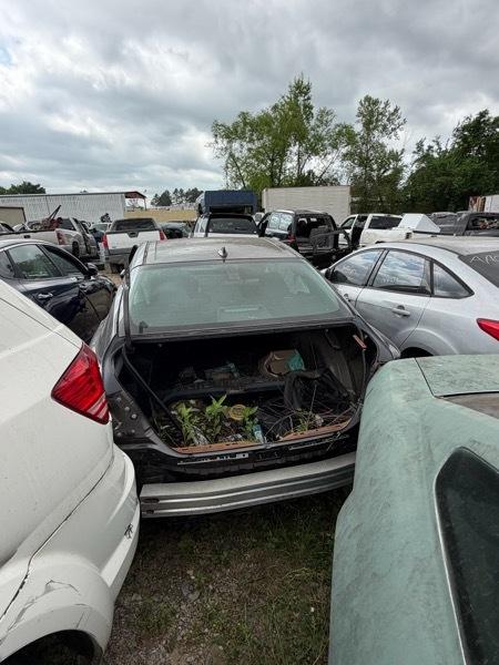 Toyota Camry XLE 2019