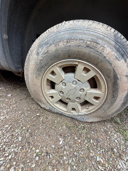 Chevrolet Colorado Work Truck Ext. Cab 2WD 2007