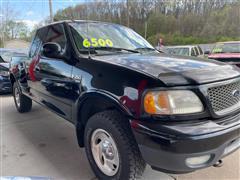 1999 Ford F-150 