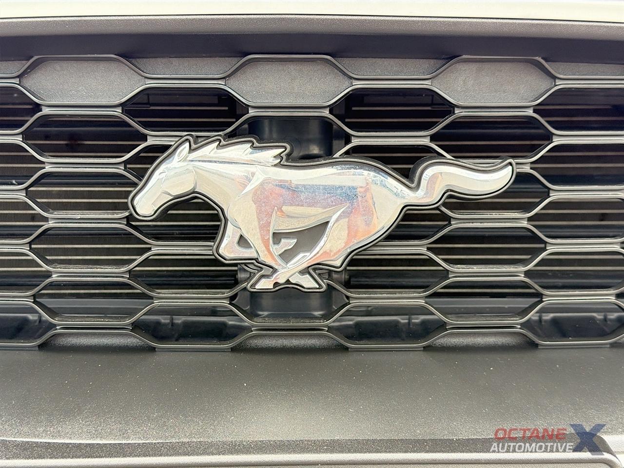 Ford Mustang  2019