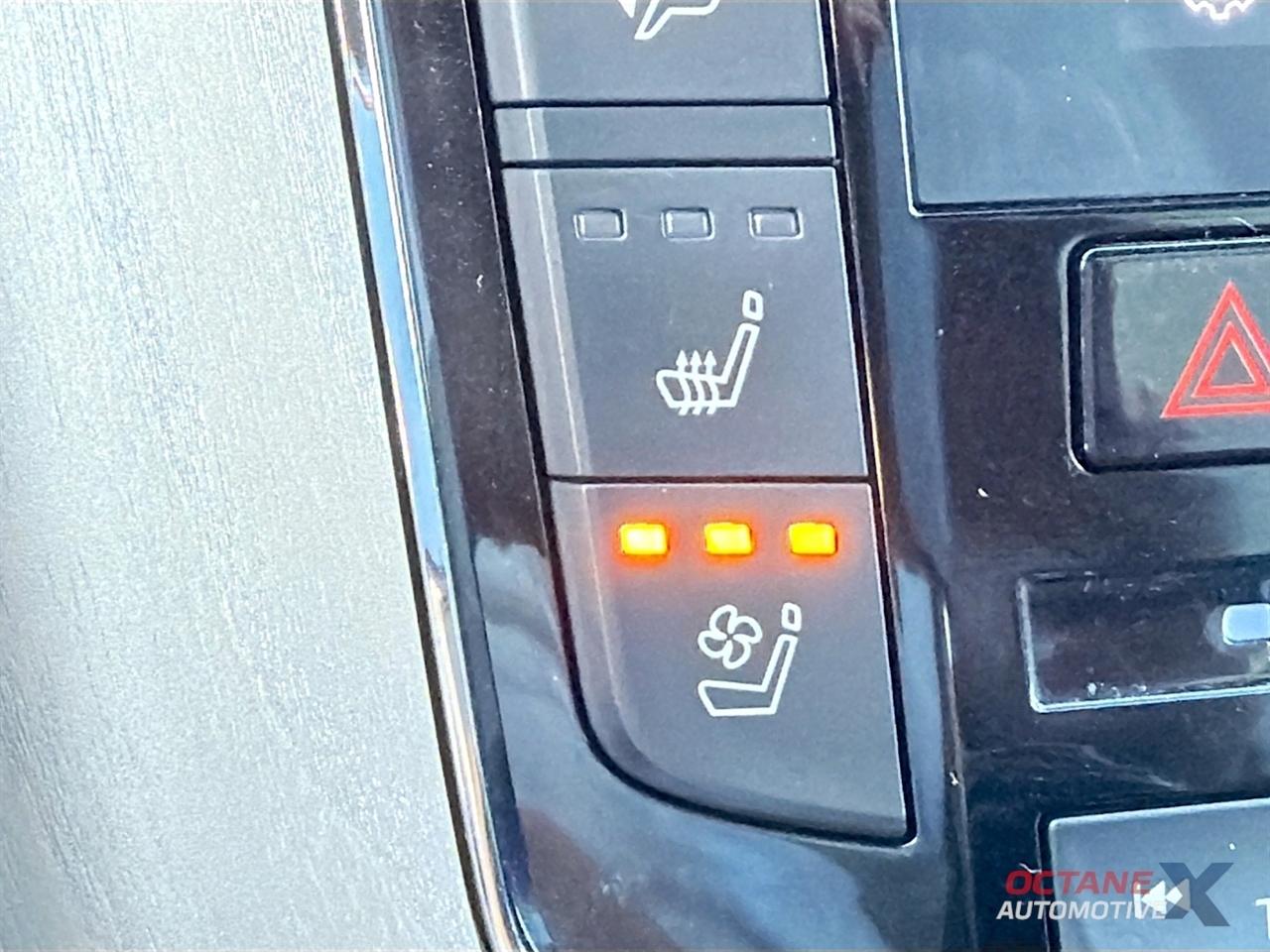 Infiniti QX80  2020