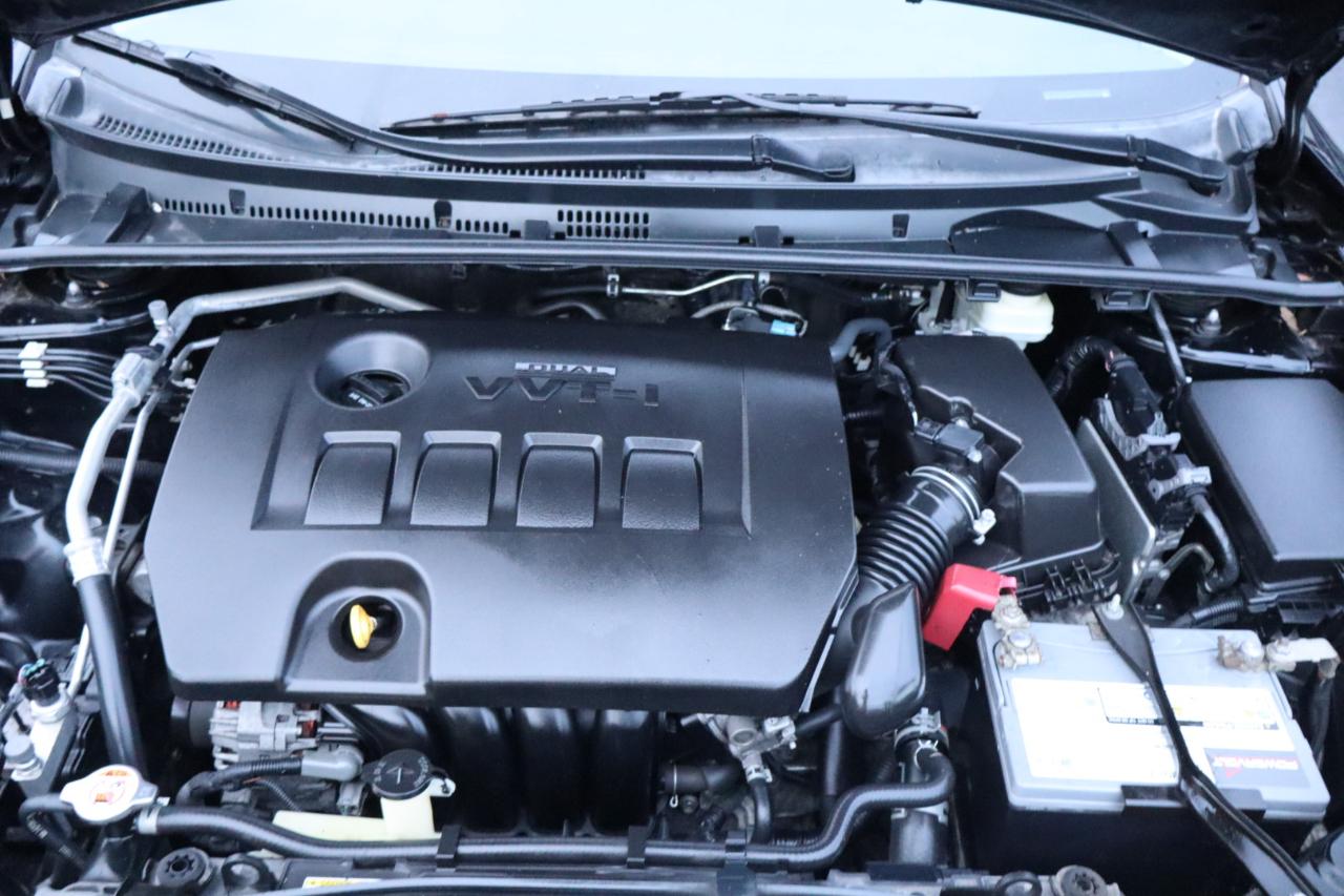 Toyota Corolla XLE CVT (Natl) 2018
