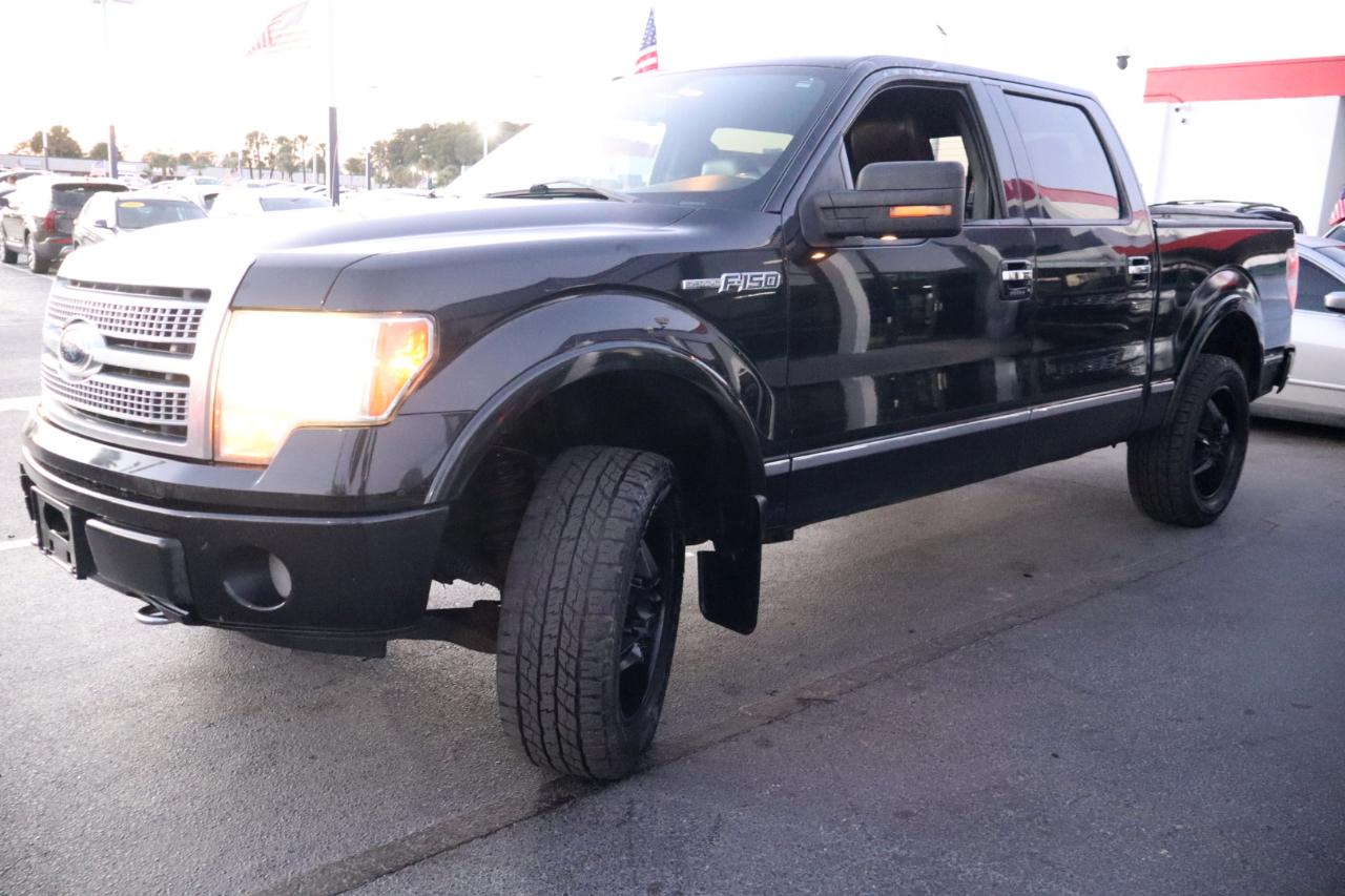 Ford F-150 Platinum SuperCrew 6.5-ft. Bed 4WD 2010