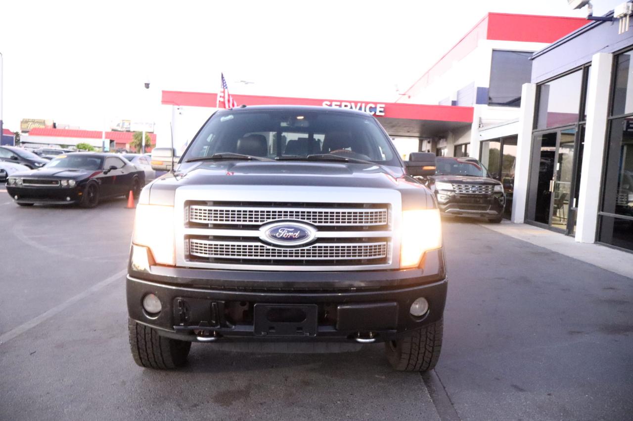Ford F-150 Platinum SuperCrew 6.5-ft. Bed 4WD 2010