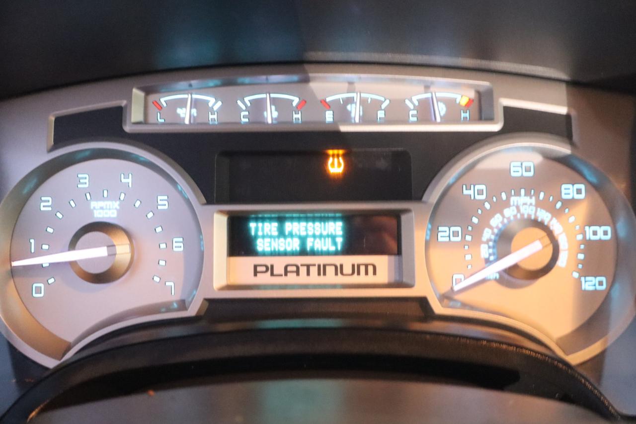 Ford F-150 Platinum SuperCrew 6.5-ft. Bed 4WD 2010