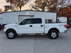 2010 Ford F-150 