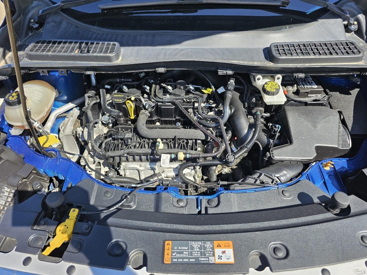 Ford Escape SE 4WD 2019