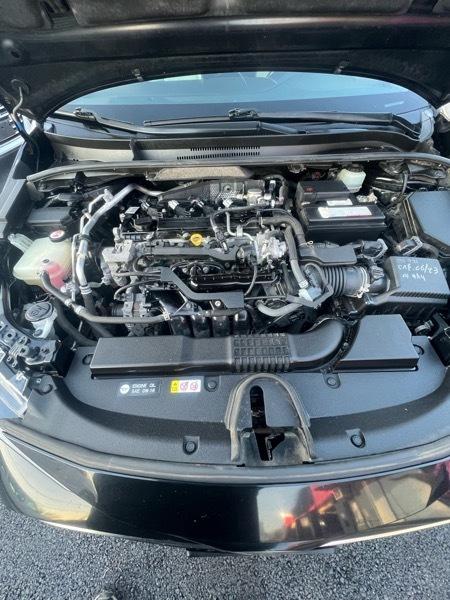 Toyota Corolla XLE CVT 2019