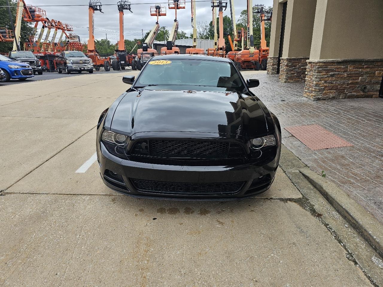 Ford Mustang photo 3