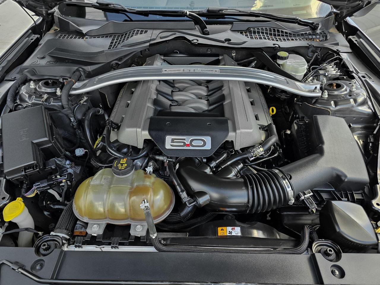 Ford Mustang GT Coupe 2015