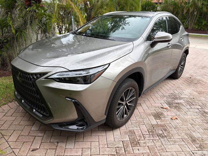 Lexus NX 250 Premium 2024