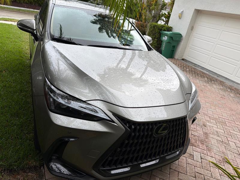 Lexus NX 250 Premium 2024
