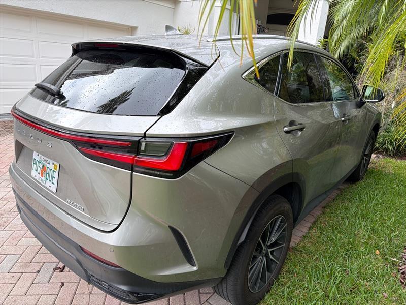 Lexus NX 250 Premium 2024